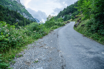 Fototapeta na wymiar Small asphalted mountain road in the Appenzell alps in Switzerland. Ascending alpine mountain road in the alps of Switzerland. Wild plants an trees at the side of the road.