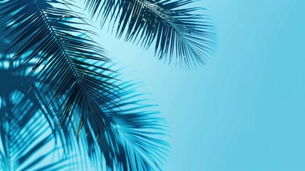 Summer concept. Palm tree shadow on a blue background. --ar 16:9 Job ID: 4170c8c3-afae-46a2-90cc-a54df573c45f