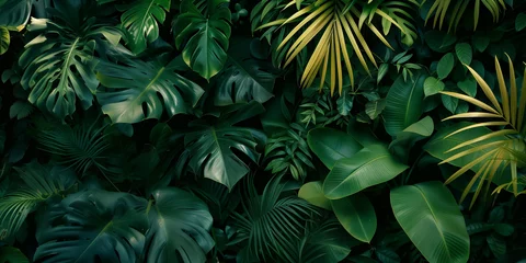 Foto op Aluminium Dark green foliage nature background with tropical leaves. © An