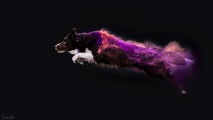 Holi jumping - dog covered in turquise holi powder performing a jump creating a beautiful cloud of colors