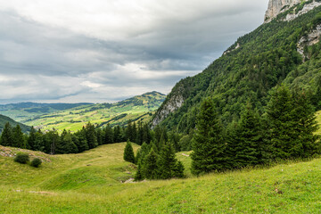 Beautiful summer view of the Alpine mountains in Appenzell region in Switzerland. Fresh meadow in the forground, alpine mountains in the right side and background. Copy space available. Cloudy sky. - Powered by Adobe