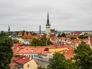 Fototapeta premium Scenic summer panoramic view of the Old Town in Tallinn, Estonia