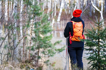 
A person in bright clothes observes a nature trail with many trees