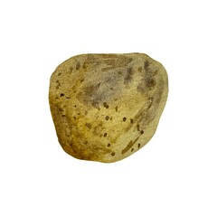 Potato brown fresh tuber a watercolor illustration