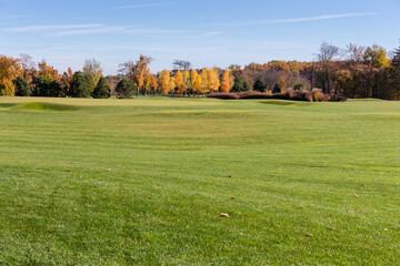 Large glade with trimmed grass in autumn park against forest