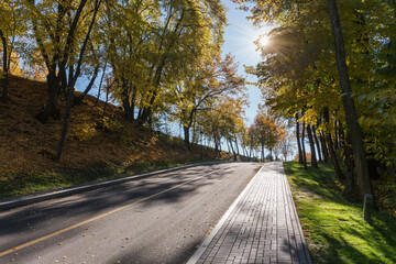 Hilly section of local asphalt road in autumn forest backlit