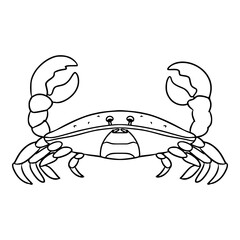 crab illustration hand drawn outline isolated vector