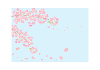 花びら舞い散る青空と桜の背景イラスト