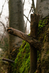 croce di legno verticale