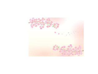 淡い桜の背景イラスト