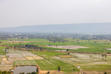 Fototapeta premium A bird's-eye view of farmland, green rice fields, wide expanses.