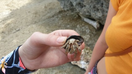 A girl holding a sea creature in a seashell in her hand