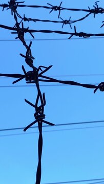 barbed wire against the sky on a high fence.