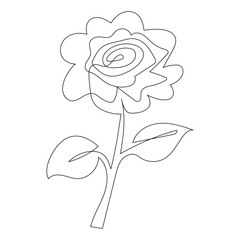 Continuous single-line rose design hand drawn drawing roses line art illustration
