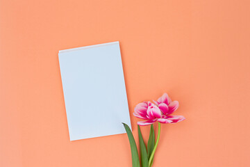 Pink tulip with blank white paper on an orange background.
