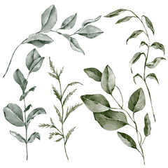 A set of various leaves