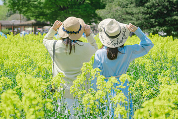 菜の花畑を楽しむ女性