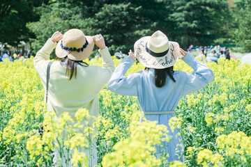 菜の花畑を楽しむ女性