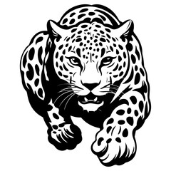 Leopard with distinctive spots and powerful stance, sneaks in on his prey, black vector design against white background 