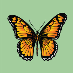 Beautiful monarch color butterfly isolated summer decoration vintage design