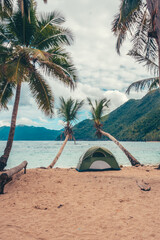 Caribbean beach in the paradise with palms tree with camping
