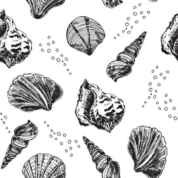 A seamless pattern featuring a variety of detailed shell illustrations in black and white, suitable for backgrounds, textiles, or wrapping paper.