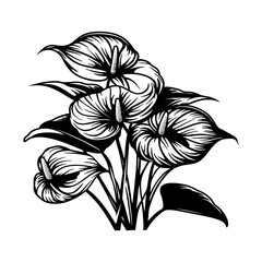 Anthurium and caladium Botanical green and fresh for plant lover gardener. Set of botanical plants vector illustration, watercolor isolated on white background
