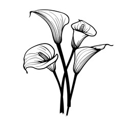 Anthurium and caladium Botanical green and fresh for plant lover gardener. Set of botanical plants vector illustration, watercolor isolated on white background
