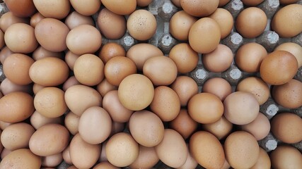 Pile of egg on the eggs cartoon in displayed in supermarket to attract the buyer