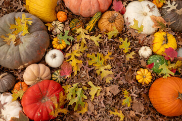 Colorful fall decorations with orange, yellow, red, pumpkins, gourds, squash and fall leaves