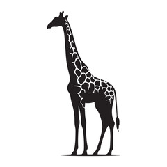 Graceful Giants: Vector Giraffe Silhouette - Capturing the Elegance and Majesty of Africa's Tallest Land Mammal. Minimalist Giraffe Vector, Giraffe Illustrtion.