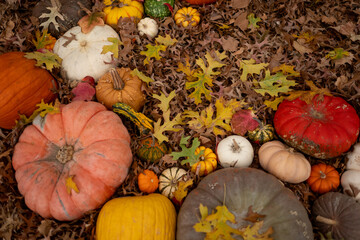 Colorful fall decorations with orange, yellow, red, pumpkins, gourds, squash and fall leaves