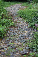 A simple gravel path in the garden.