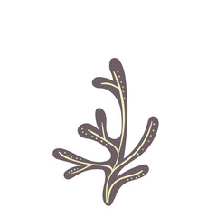 Colorful Coral Illustration