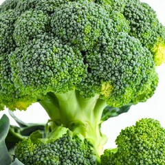 Fresh Flavors: Isolated Broccoli Head on White Background by Firefly