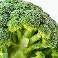 Fresh from the Farm: Broccoli Head Isolated on White with Dividers by Firefly