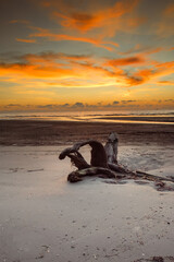 Fototapeta premium sunset on the beach