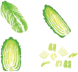 白菜のイラストセット