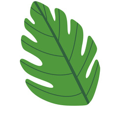 Green Leaves, tropical leaves, leaf,