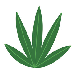 Green Leaves, tropical leaves, leaf,