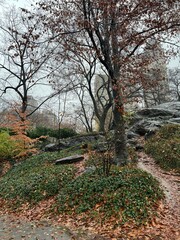 Central park in autumn
