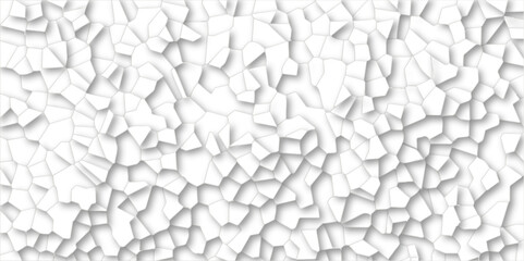 Abstract white and gray broken stained glass background design with line. geometric polygonal background with different figures. low poly crystal mosaic background. geometric triangle shape.