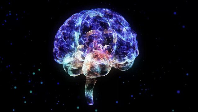 Human brain. Nervous system mesh of human 3d model brain.