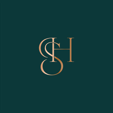 HS or SH logo design. Vector illustration.