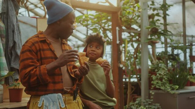 Little African-American boy and his grandfather standing in a greenhouse farm, eating pastry and chatting during lunch break