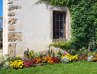 Fototapeta na wymiar Bright stucco textured old wall, stones, dark window, ivy and flower bed