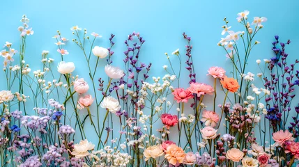 Schilderijen op glas Arrière-plan bleu avec fleurs sauvages © Concept Photo Studio