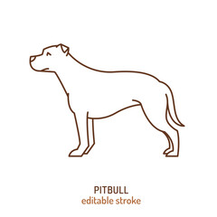 Pitbull silhouette, outline contour sketch. Fighting dog.