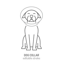 An Elizabethan collar, E collar icon. Pet ruff, dog cone sign.