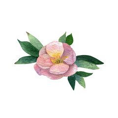 Watercolor pink flower potentilla with greenery